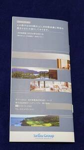 【有効期限2024年5月31日】西武ホールディングス 株主優待券 冊子のみ 500株以上1000株未満