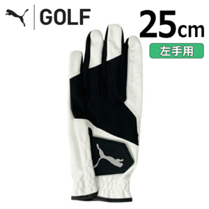 PUMA エントリー ゴルフ グローブ 042000【プーマ】【初心者】【ビギナー】【左手用】【WHITE/BLACK】【25cｍ】【Glove】