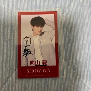 向山毅 さん　SHOW-WA　サイン入り　カード　トレカ　　当選品