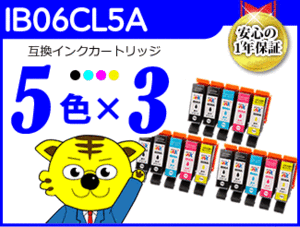 ●送料無料 エプソン用 ICチップ付 互換インク IB06CL5A 《4色5本×3セット》PX-S5010用