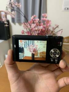 Panasonic カメラ DMC-FX37 10.0megapixels