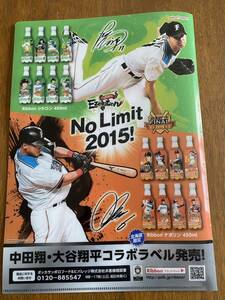 日本ハムファイターズ クリアファイル 2015 中田翔 大谷翔平 Ezolution リボン シトロン ナポリン