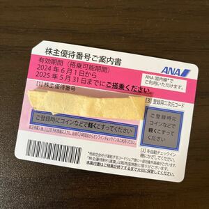 【送料無料】ANA 全日空 株主優待 1枚　2025年5月末まで