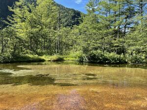 【即決】自然、風景画像の写真 当方撮影写真 相互評価 24時間以内に対応 1円