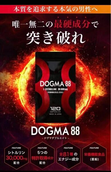 シトルリン 亜鉛 マカ 特許取得成分5種配合 DOGMA88 国産 30日分