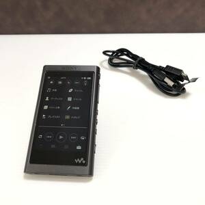 m259-0222-11 SONY ソニー WALKMAN ウォークマン NW-A55 16GB