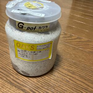 カワラ菌糸G-pot1500cc入り！貴重！飼育累代幼虫　ローゼンベルグオウゴンオニクワガタ2〜3齢幼虫3頭！ボトルごと！食痕OK