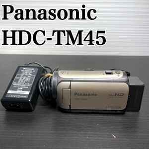 Panasonic HDC-TM45 ビデオカメラ 2011 ベージュ