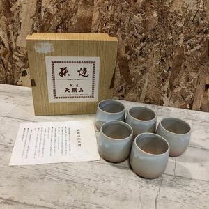 萩焼　湯呑　5セット　椿窯　天鵬山　茶器　和食器　小さめ　食器　カップ　箱付き　ゆのみ　佐川急便対応のみ