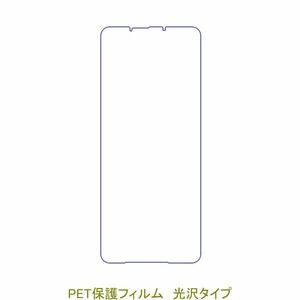 【2枚】 Xperia 10 VI SO-52E SOG14 2024年 液晶保護フィルム 高光沢 クリア D419