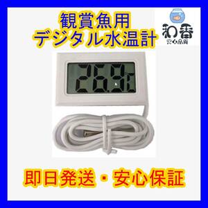 [ popular commodity ] digital water temperature gage white 1 piece medaka goldfish tropical fish shrimp aquarium direction PSBmi Gin ko elephant rim si chlorella bacteria .. filter media . including in a package possible 