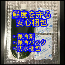 新鮮な状態で保冷発送します