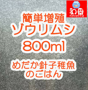 即給餌OK★ゾウリムシ 種水800ml★沢山湧いてます★ めだか グッピー ベタ 金魚 の稚魚 ビーシュリンプ 生餌に最適 ミジンコクロレラ