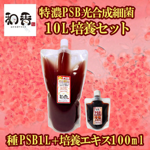 光合成細菌PSB10L培養セット バクテリア めだか らんちゅう 金魚 熱帯魚 グッピーに最適 ミジンコゾウリムシクロレラ培養