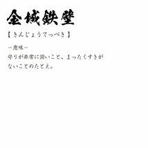 金城鉄壁 ( きんじょうてっぺき ) 書道家が書く デザイン Tシャツ 【 四文字熟語 】 メンズ レディース キッズ_画像3