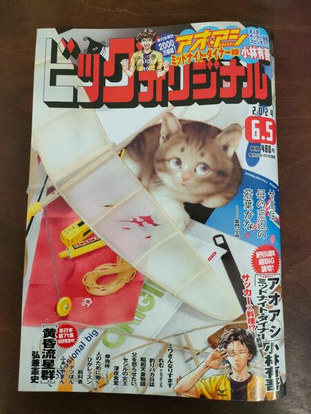 ビッグコミックオリジナル ２０２４年６月５日号 （小学館）