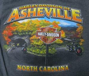 UST71ヘインズHANESアメリカ古着ハーレーTシャツHARLEY-DAVIDSONバイクTシャツSショップTシャツ両面プリントTシャツ チャコール系オールドT