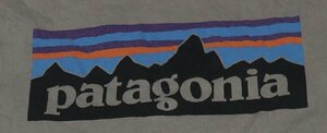 ST54パタゴニアPATAGONIAアメリカ古着アウトドアTシャツLビッグサイズ両面プリントTオーガニックコットンTシャツORGANCオールド＆レトロ