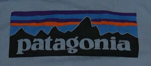 ST39パタゴニアPATAGONIAアメリカ古着アウトドアTシャツズ両面プリントTコットンTシャツSロゴTシャツ水色系Tシャツ/オールド＆レトロ