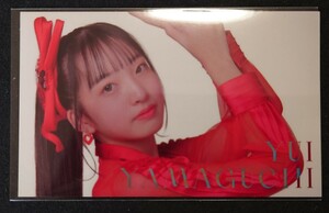 山口結愛 AKB48 ステッカー 2024年 ピンポン玉チャレンジ特典 硬質ケース ヤフオク専用 転載禁止