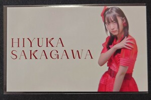 坂川陽香 AKB48 ステッカー 2024年 ピンポン玉チャレンジ特典 硬質ケース ヤフオク専用 転載禁止