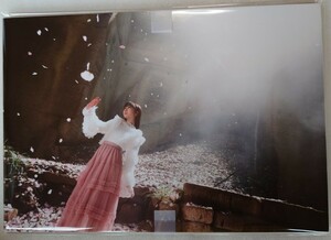 柏木由紀 展示品パネル AKB48 63rdシングル「カラコンウインク」写真 ヤフオク専用 転載厳禁