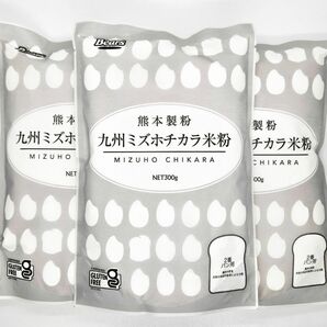 九州ミズホチカラ米粉 熊本製粉 2番 パン用 300g 3袋