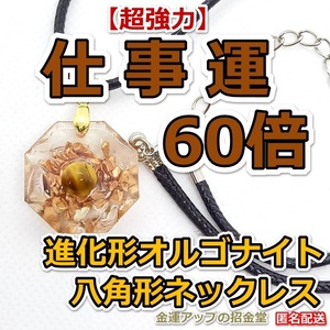 【超強力】仕事運60倍 進化形オルゴナイト八角形ネックレス（タイガーアイ）【金運アップの招金堂】パワーストーン/ペンダントトップ／02