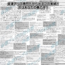 感謝して置くだけ 金運を呼ぶ干支置物『うさぎ（兎・卯）』【金運アップの招金堂】/最強グッズ/上昇波動アイテム/お守り神社十二支2202_画像3