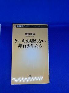 ケーキの切れない非行少年たち　宮口幸治　引換