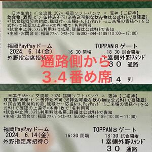 福岡ソフトバンクホークスチケット　PayPayドーム6月14日(金) １塁側外野指定席連番２枚