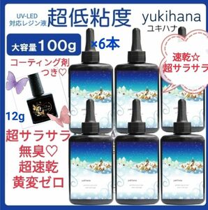 速乾!!無臭＆黄変ゼロ レジン液ユキハナ100g×6本コーティング剤つきお買い得セット☆