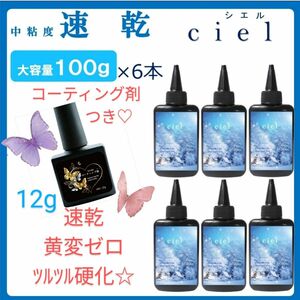 速乾＆直射日光でも黄変ゼロ LEDレジン液シエル100g×6本コーティング剤付きお買い得セット