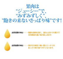 河内晩柑 訳あり 10kg サイズフリー 愛媛 宇和島 吉田産 爽やかジューシーな夏の柑橘 農地直送 送料無料 北海道・沖縄・東北は別途送料_画像5