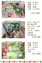 愛媛 百姓にお任せ 朝採れ 旬野菜 8-10品 石鎚山系農地の減農薬野菜 送料無料 宇和海の幸問屋_画像3