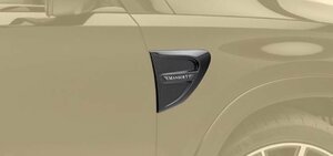 マンソリー メルセデス ベンツ GLSクラス フロントフェンダーパネル エアロパーツ MANSORY Mercedes Benz X167 AMG LINE