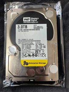 Western Digital WD3000FYYZ 3TB HDD