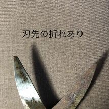 MC547 植木鋏 園芸鋏 剪定ばさみ 花はさみ 盆栽鋏 剪定鋏 小枝切 園芸 華道 造園 生花 ハサミ 義丸/孝三郎/源造/など 6点_画像8