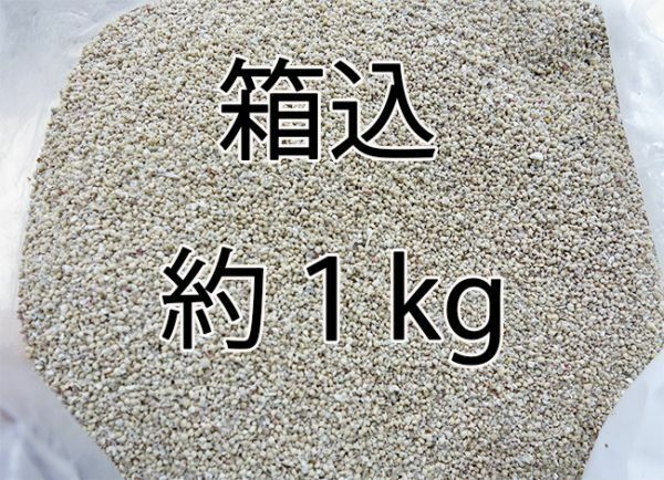 沖縄離島の砂 箱込1kg 星砂ビーチ 星の砂入り アクアリウム/水槽用底砂/ヤドカリ飼育/砂時計/レジン封入 大量 1000g