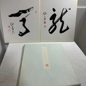 色紙　まとめ　2枚　書