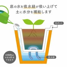 かしこい植木鉢 プランター 自動給水 水やり不要 鉢 5号 家庭菜園 ガーデニング 観葉植物 鉢植え 水受け不要 ブラウン_画像3