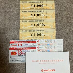 ビックカメラ 株主優待 4,000円分