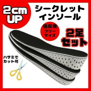 【2cm UP】 ２セット　シークレットインソール 中敷き 身長アップ メンズ