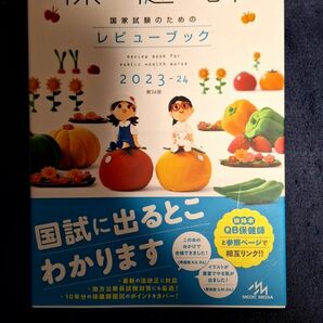 保健師国家試験のためのレビューブック　２０２３－２４ 医療情報科学研究所／編集