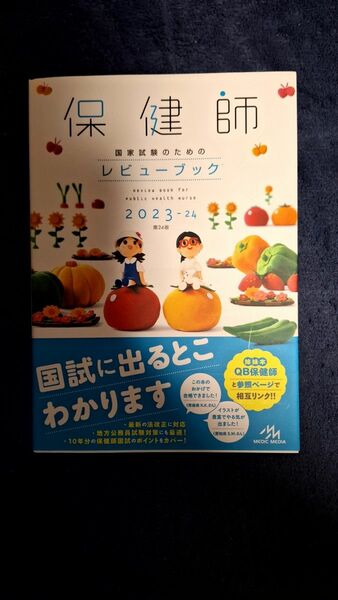 保健師国家試験のためのレビューブック　２０２３－２４ 医療情報科学研究所／編集