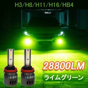 LED 高輝度 爆光 H3 h8 h9 h11 h16 hb4 グリーンイエロー ライム アップルグリーン 緑 レモン 12V 24V ライムグリーン ライムイエロー