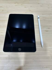 【美品】Apple iPad mini 第5世代 スペースグレイ 64GB 、Wi-Fi Apple Pencil（第1世代）