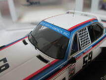スリーブ違い　BMWCSL　1976年デイトナ24時間レース　ウイナー　1/43_画像6