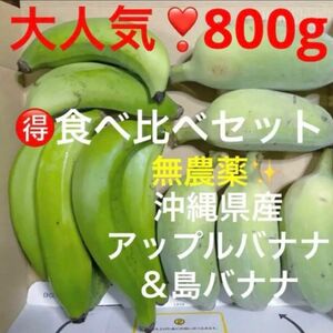 0531⑥大人気！！無農薬栽培！　沖縄県産アップルバナナ＆島バナナ　箱別800g分