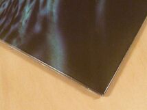 未開封 ボノボ Fragments 限定140g重量盤レッドマーブルカラー盤2枚組LP Bonobo Joji Jordan Rakei Jamila Woods Ninja Tune_画像5